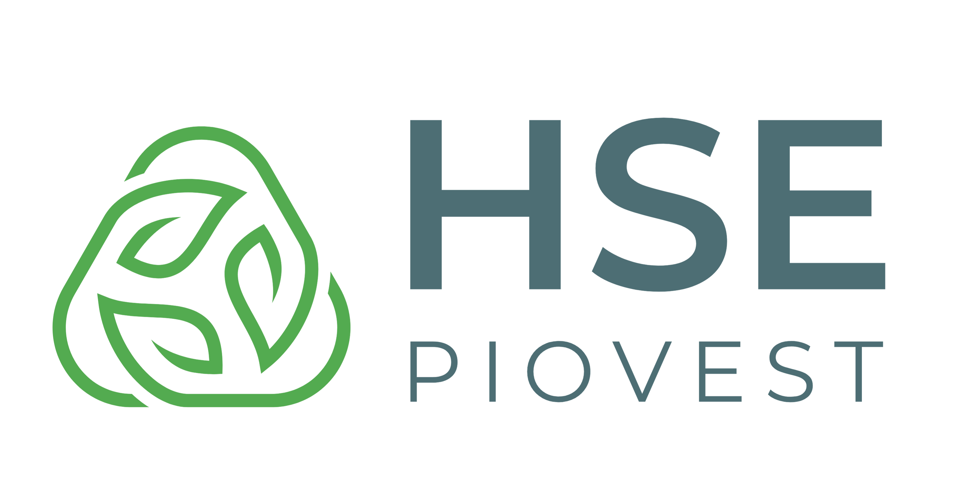 Piovest HSE Logo
